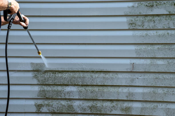 Best Basement Cleanout  in Jena, LA